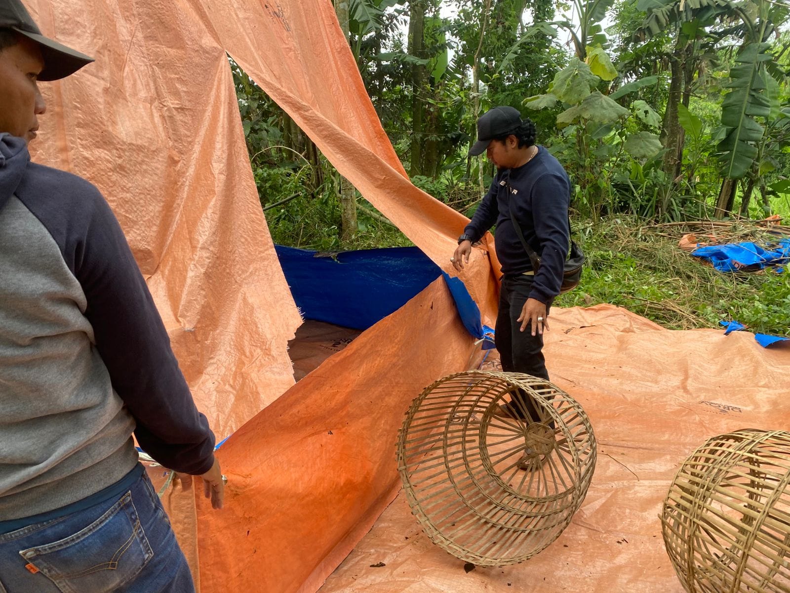 Polresta Malang Kota Tindak Tegas, Lokasi Sabung Ayam Dibongkar dan Dibakar