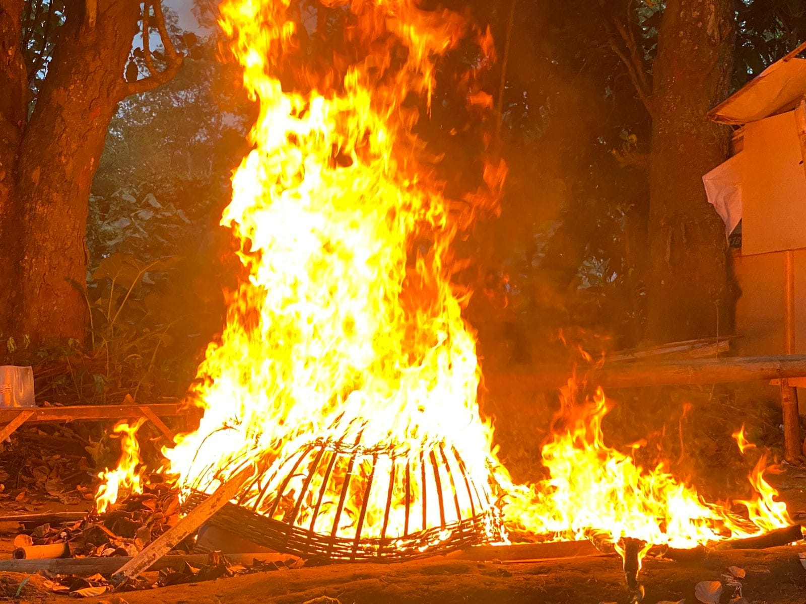 Arena Sabung Ayam di Malang Kota Rata Tanah Setelah Dibakar Polisi