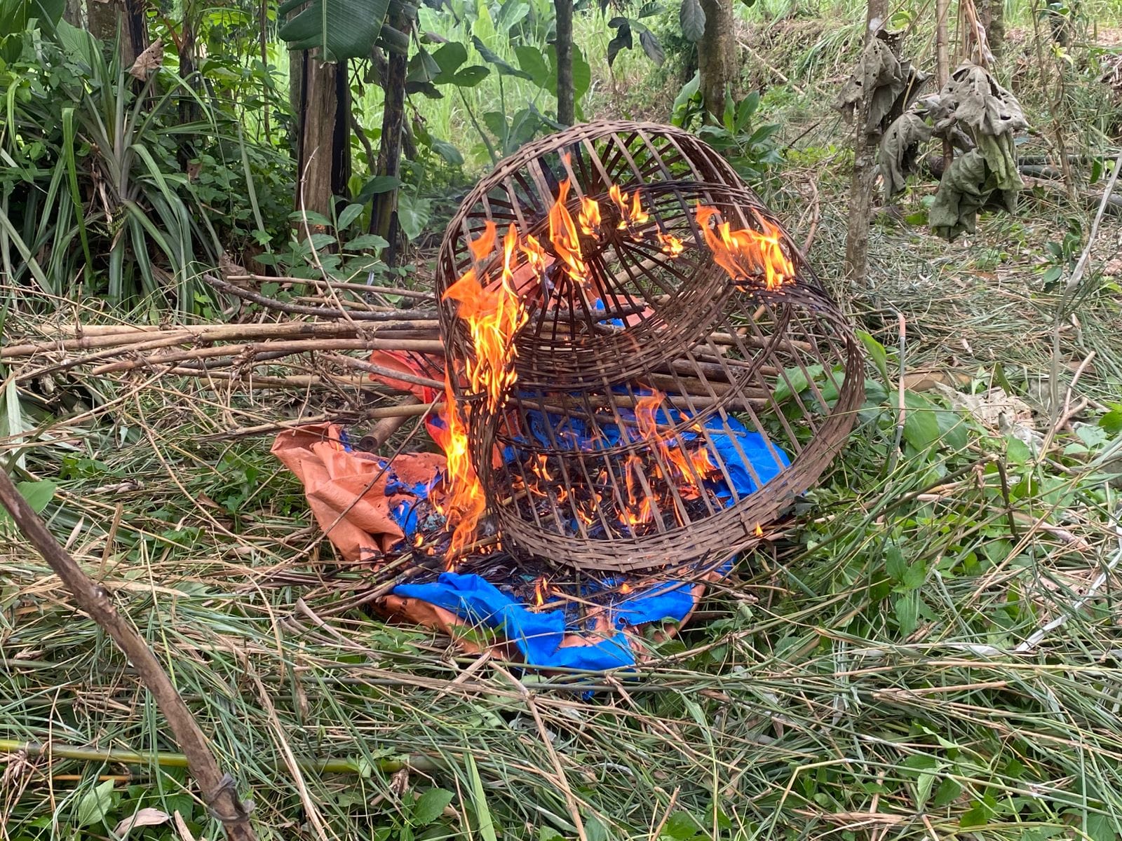 Polresta Malang Kota Gerak Cepat Musnahkan Tempat Sabung Ayam