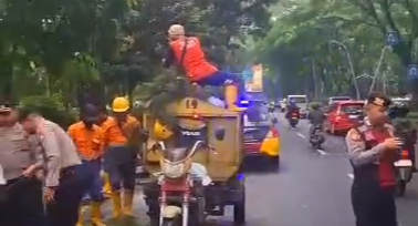 Pohon Tumbang di Jalan Veteran Bikin Panik! Polresta Malang Kota Gerak Cepat Buka Jalur dalam Hitungan Menit