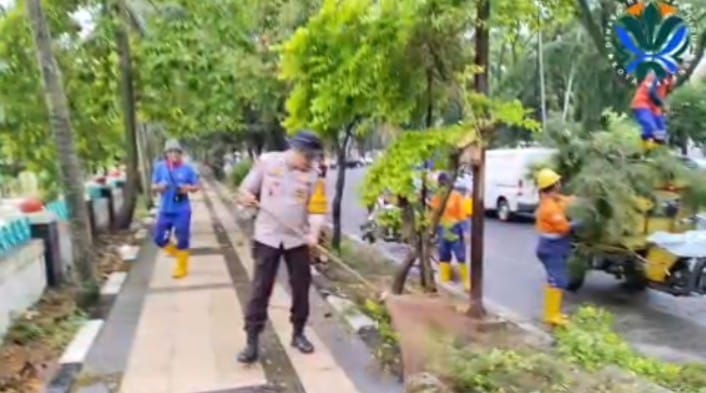 Aksi Kilat Polresta Malang Kota! Pohon Tumbang Hampir Bikin Macet Total, Polisi Turun Tangan