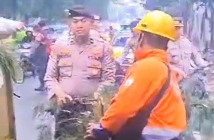 Pohon Besar Roboh di Malang! Polresta Turun Bergerak, Selamatkan Jalan dari Macet dan Bahaya