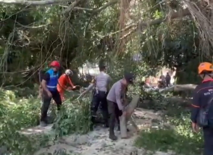 Detik-Detik Polisi Bersihkan Pohon Tumbang di Klojen, Arus Lalin Kembali Lancar!