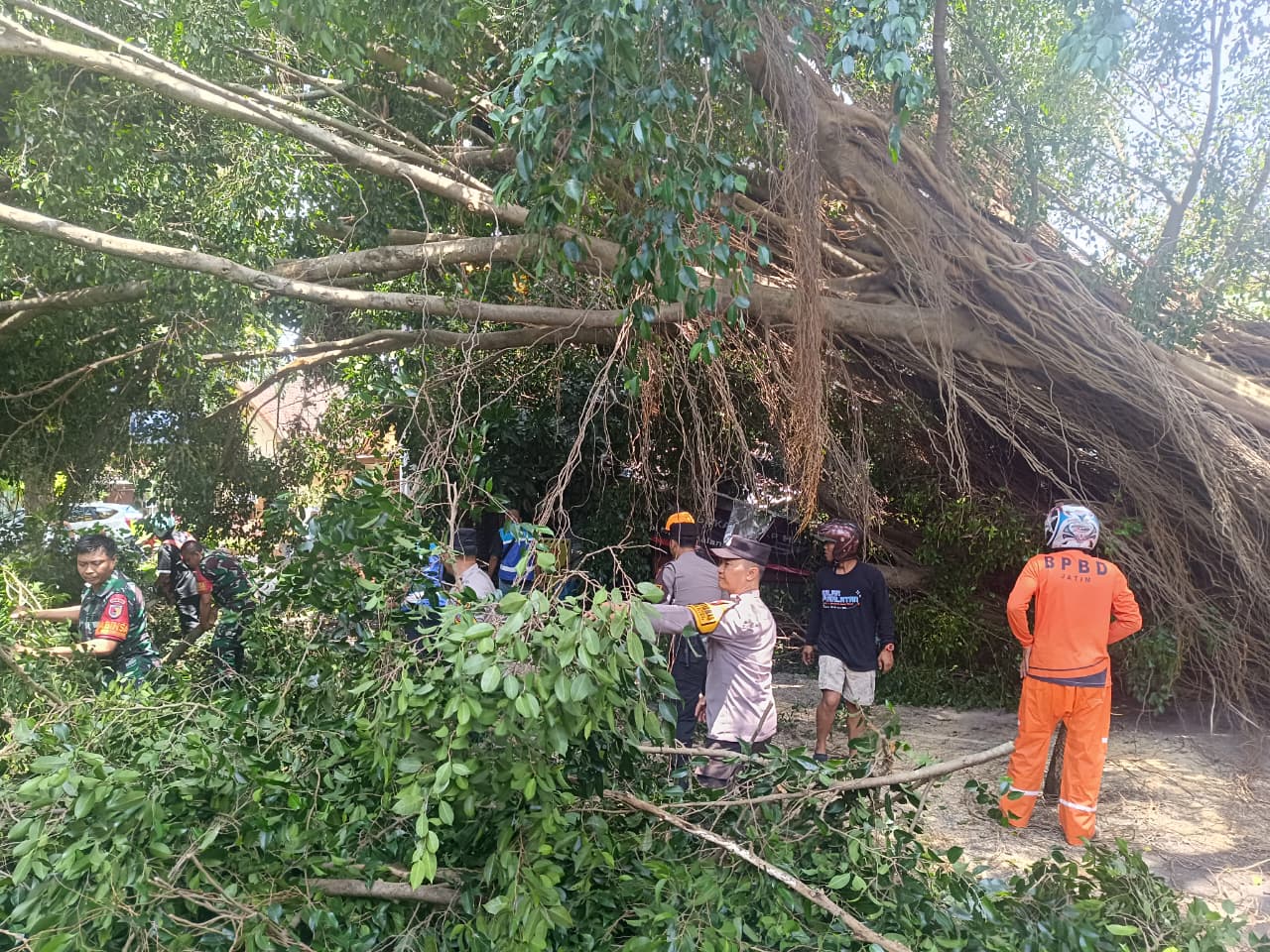 Sigap Personel Polresta Malang Kota Evakuasi Pohon Beringin Raksasa yang Tumbang