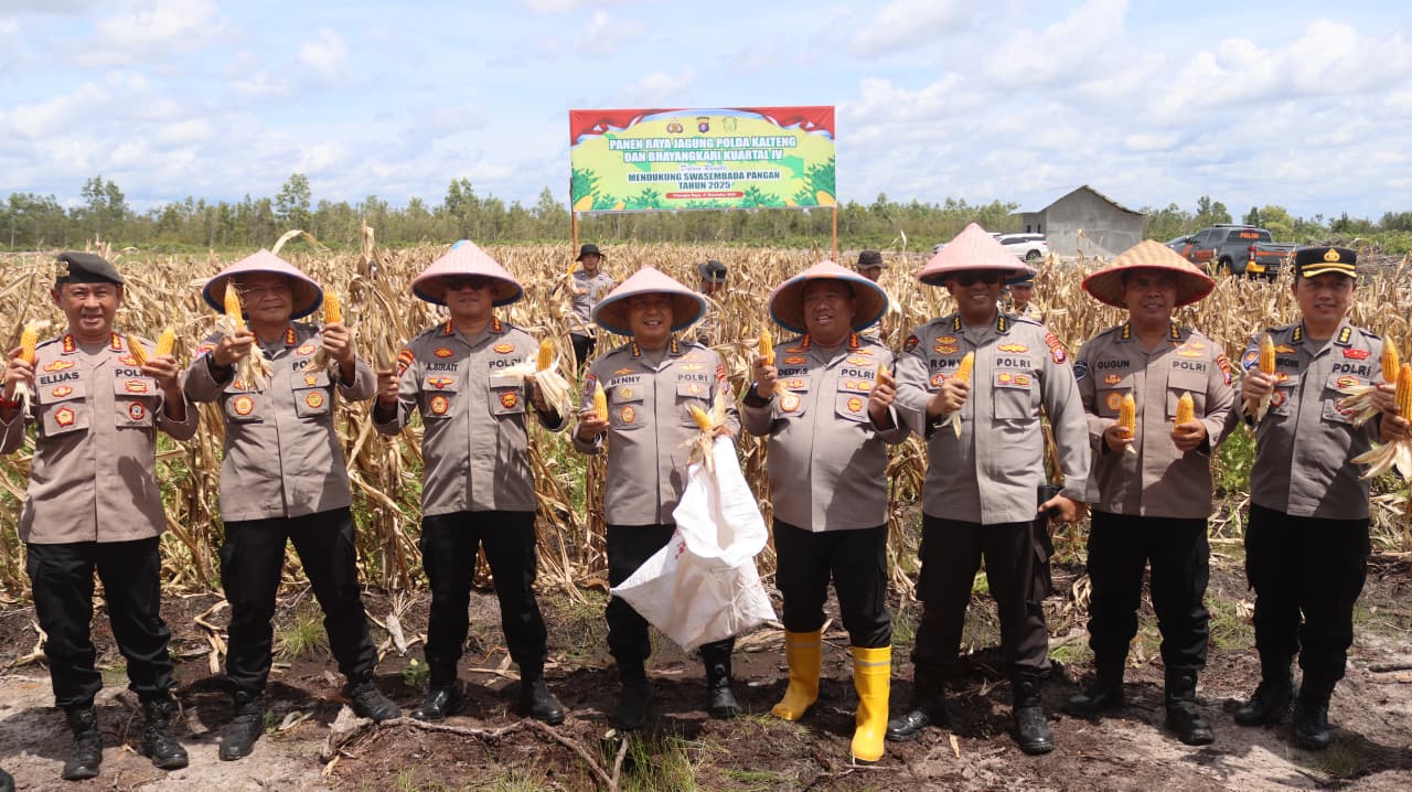 Dukungan Ketahanan Pangan, Polda Kalteng dan Bhayangkari Panen Raya Jagung di Rakumpit