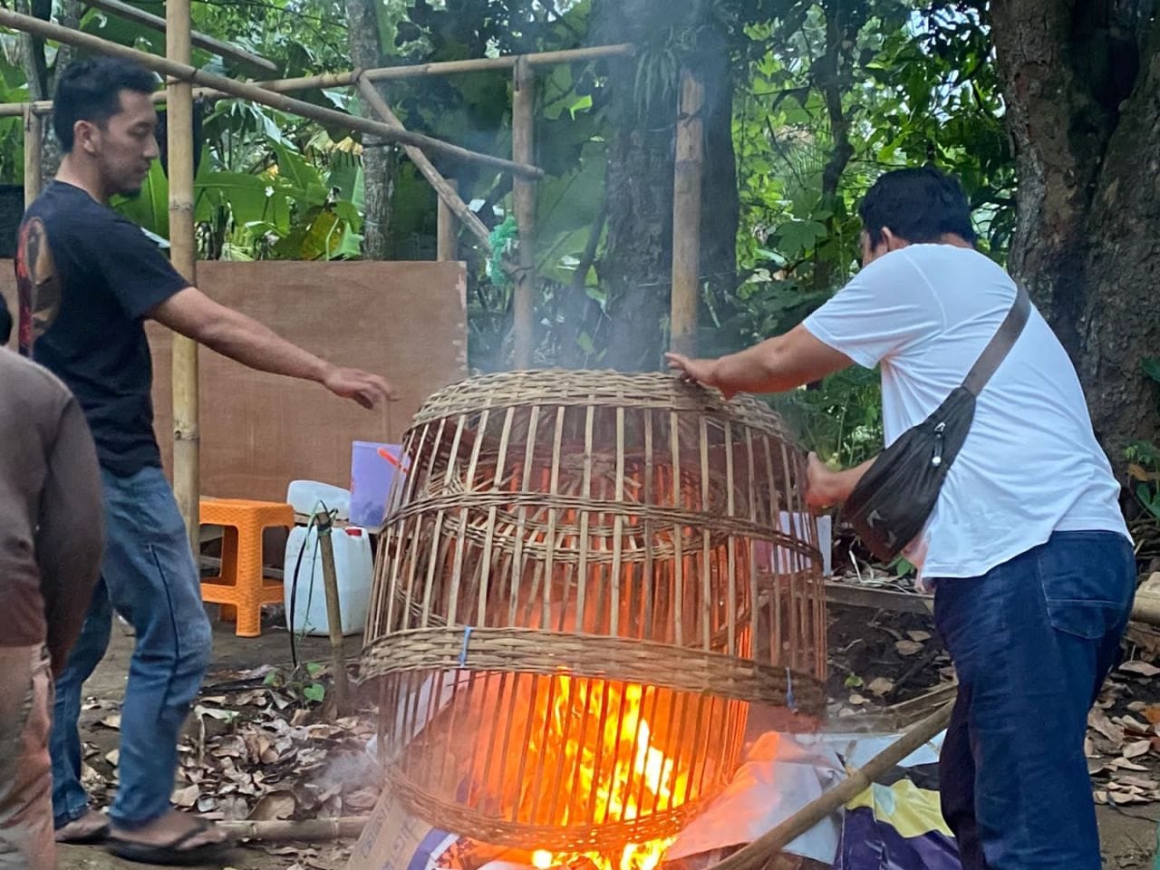 Arena Sabung Ayam di Kedungkandang Dibongkar Polresta Malang Kota