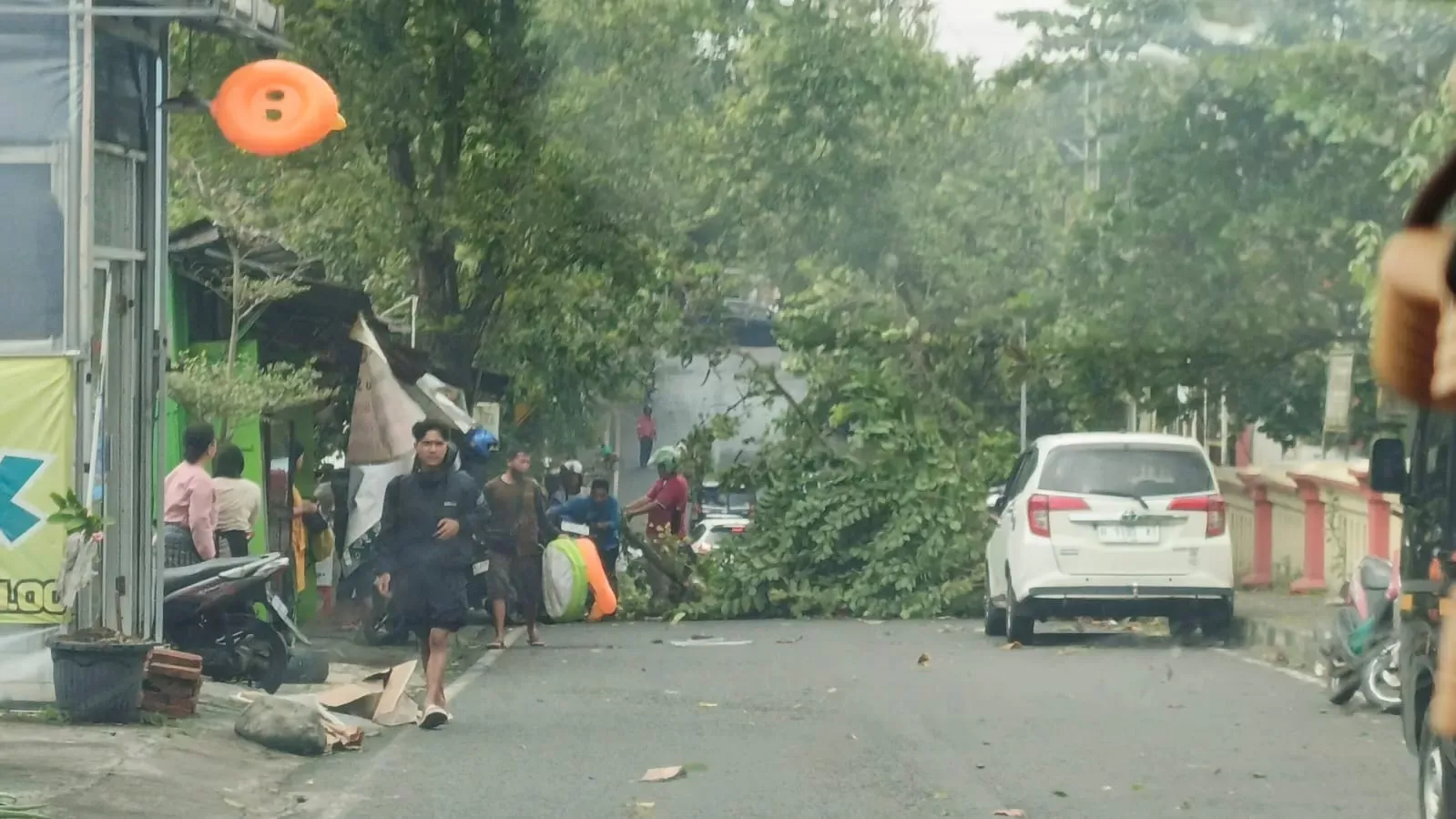 Pohon Ambruk Timpa Dokter RSUD Salatiga, Delapan Rumah Rusak