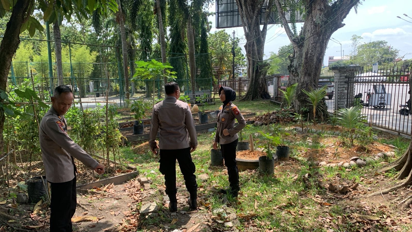 Polisi Manfaatkan Pekarangan, Polsek Dwikora Pontianak Siapkan Lahan Pangan