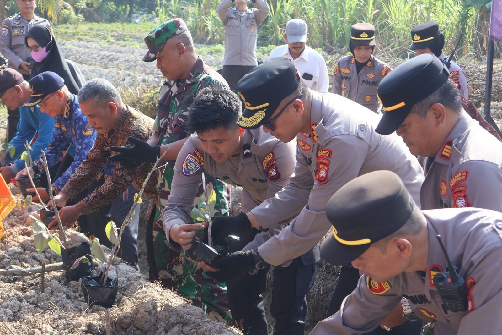 Kapolresta Pontianak Ajak Masyarakat Dukung Swasembada Pangan Lewat Penanaman Uwi Ungu