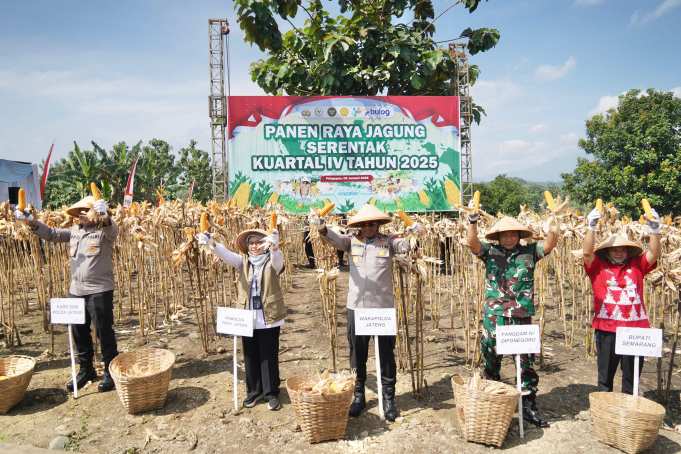 Polda Jateng Bersama Petani Panen Jagung di 690 Hektar Lahan