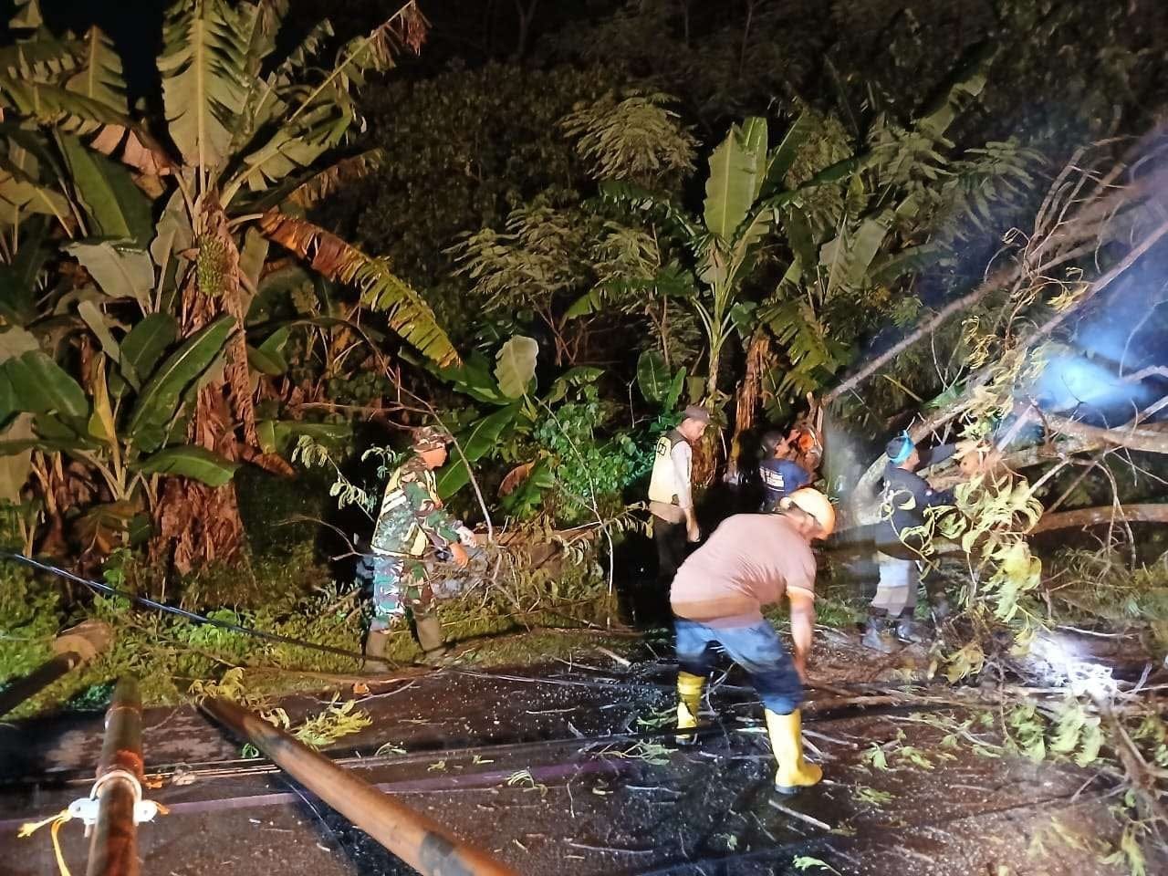 Hujan Angin di Trucuk Klaten Sebabkan Pohon Tumbang