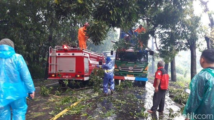 Hujan Angin Landa Boyolali, Pohon Tumbang Tutup Jalan dan Timpa Truk