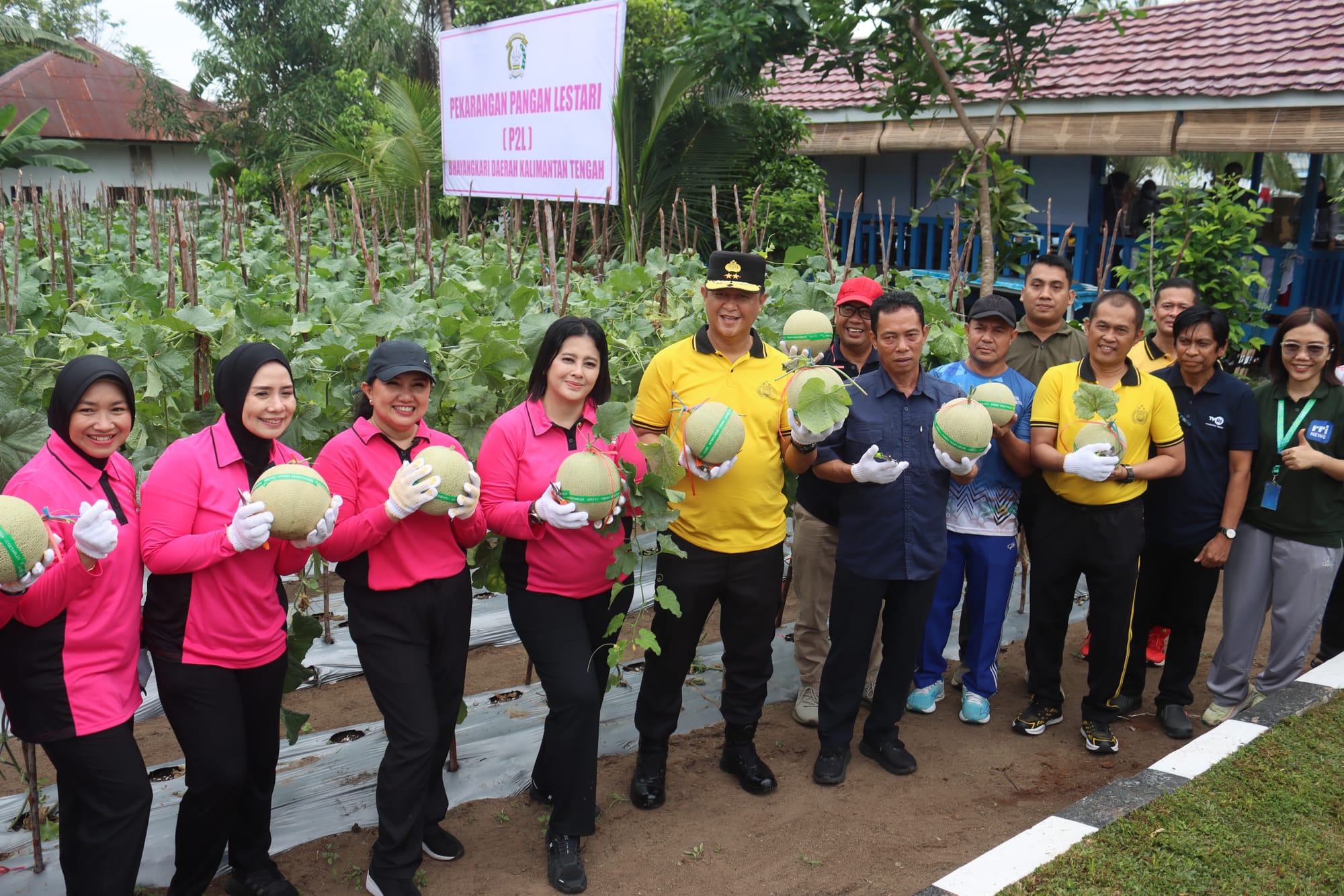 Panen Melon Perdana di Pekarangan Pangan Lestari, Kapolda Kalteng Gandeng Bhayangkari
