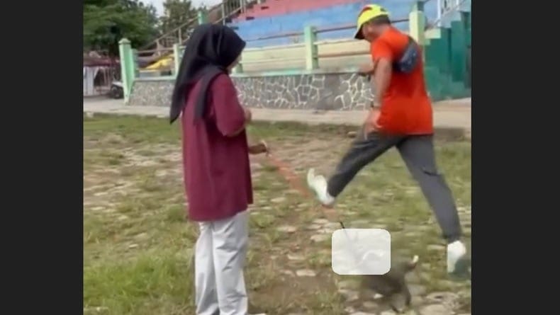 Viral Pria Tendang Kucing hingga Mati, Polda Jateng Sudah Kantongi Identitas Pelaku
