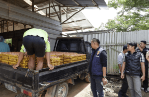 Kombes Pol Nanang Haryono Pastikan Telur Layak Konsumsi dan Stok Aman untuk Lebaran 2026