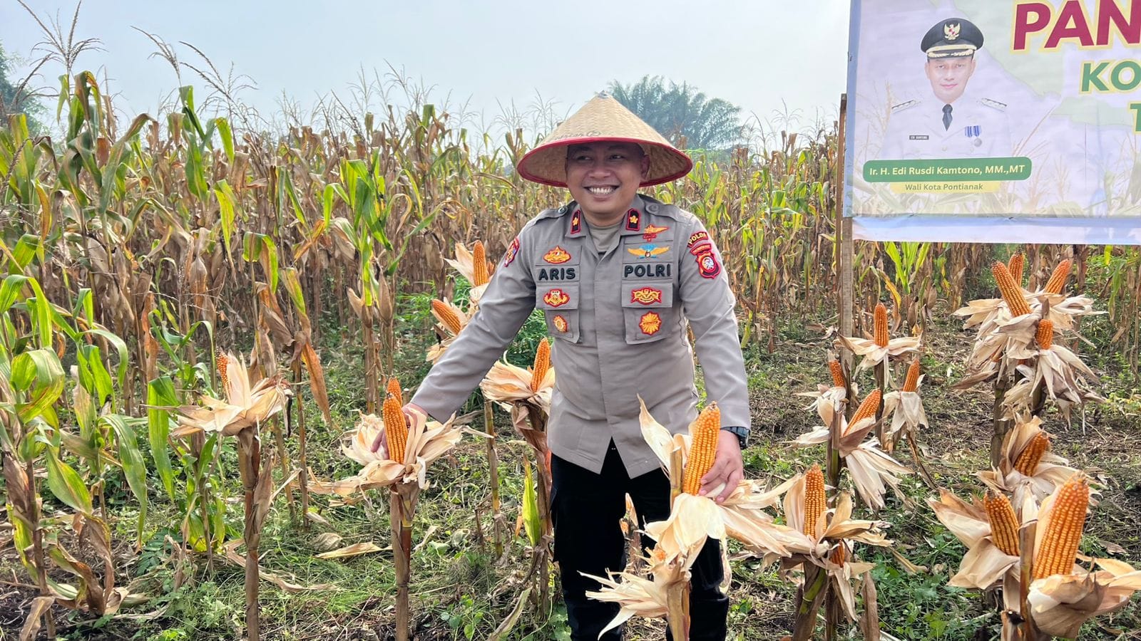 Sinergi Dukung Pertanian, Polresta Pontianak Hadir di Gerakan Panen Jagung