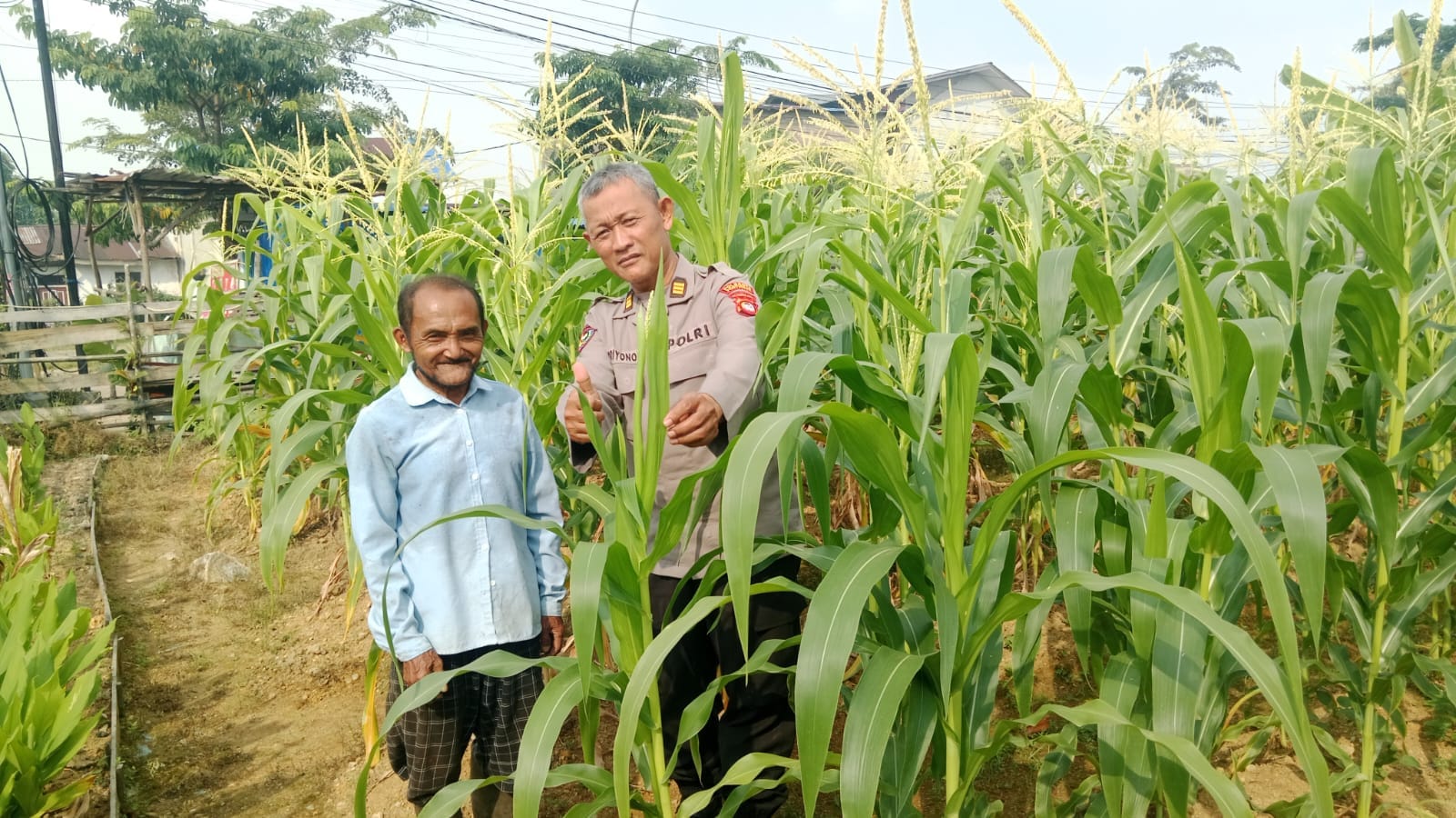Dukung Program Ketahanan Pangan, Kanit Binmas Polsek Pontianak Timur Sambangi Petani