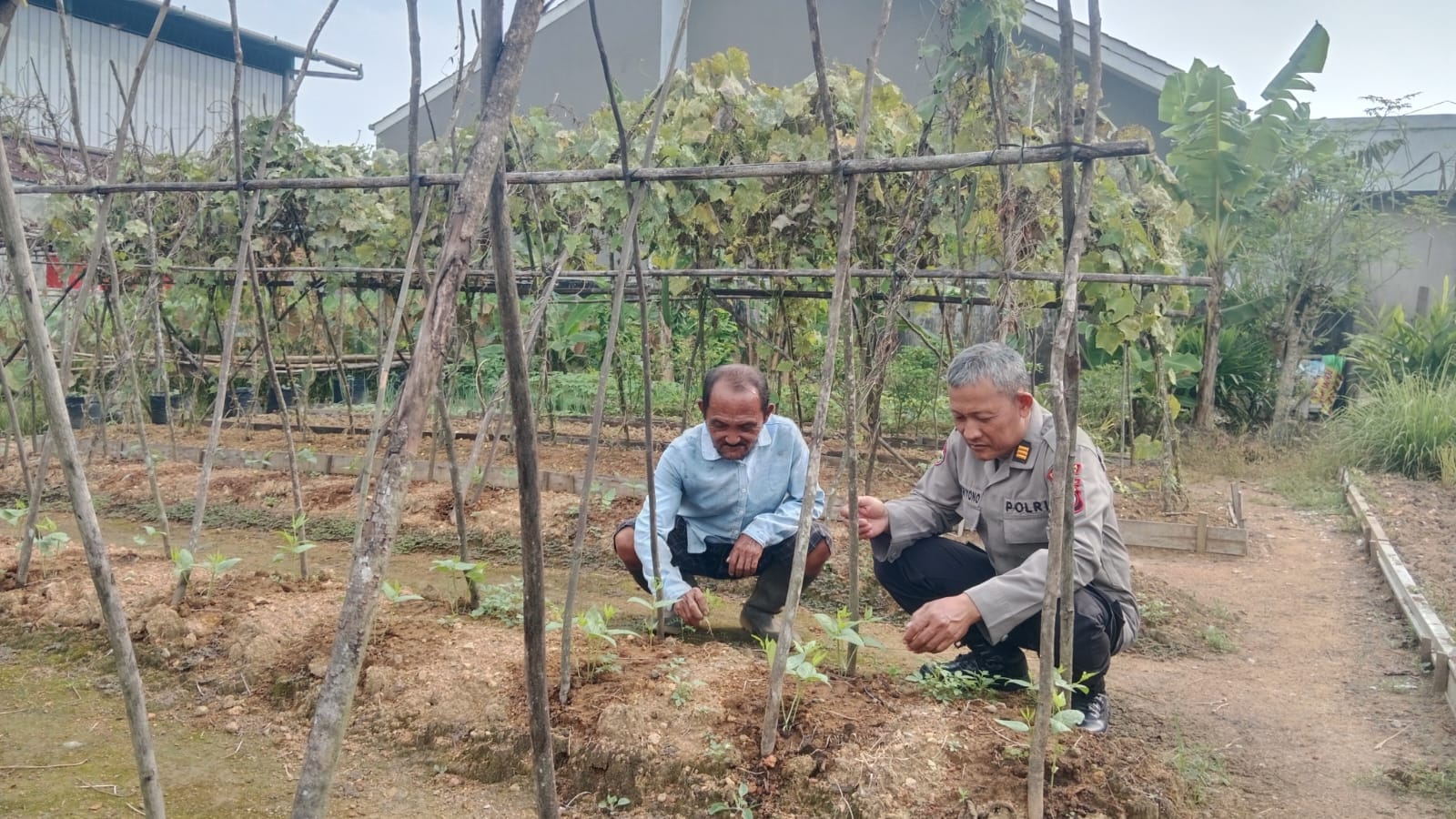 Polisi Dekat dengan Petani, Kanit Binmas Polsek Pontianak Timur Turun ke Kelurahan Saigon