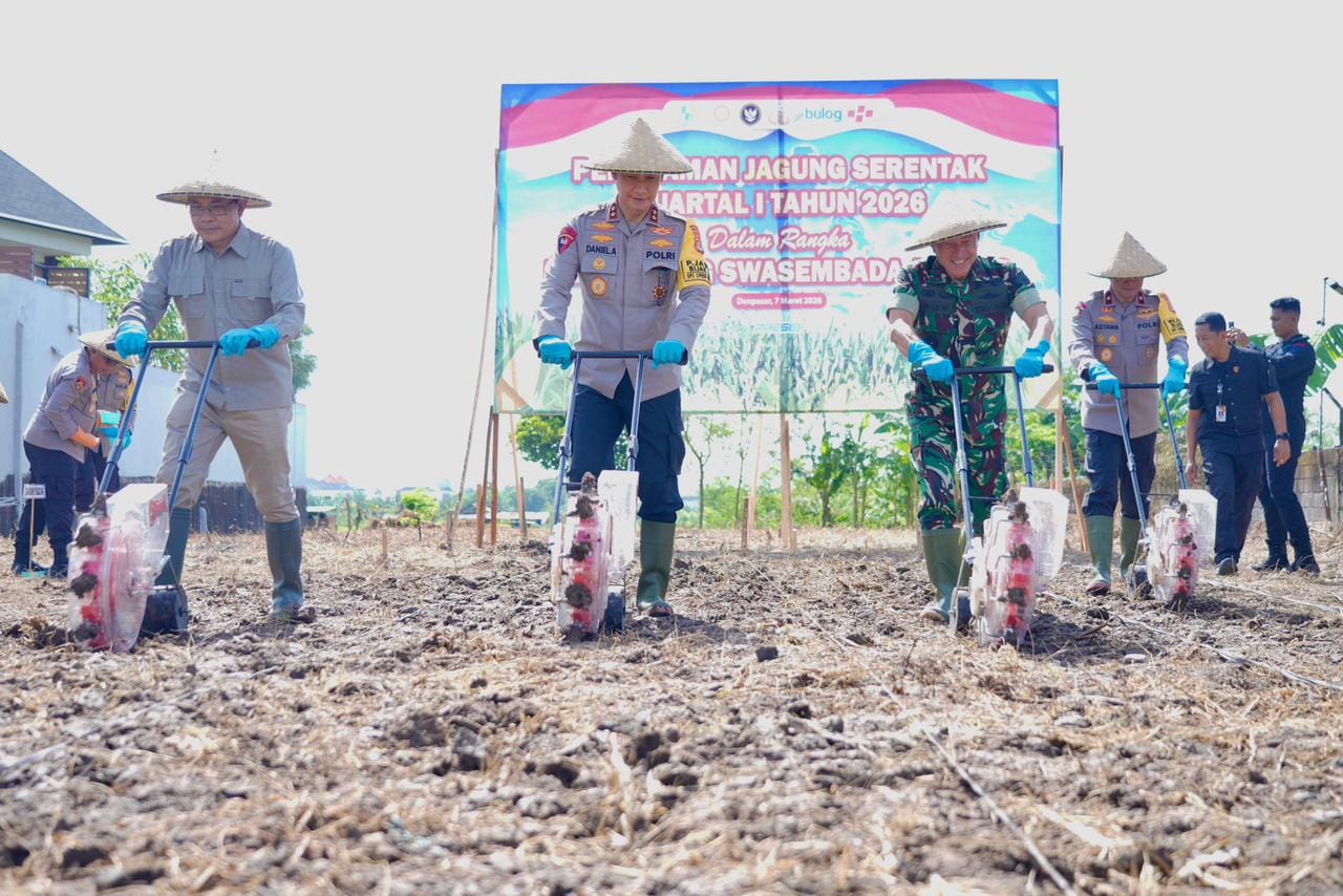 Dukung Program Swasembada Pangan Tahun 2026, Polda Bali Tanam Jagung Serentak