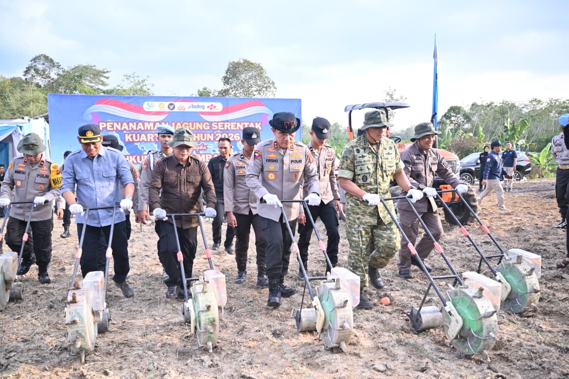 Dukung Ketahanan Pangan Nasional, Polda Jambi Gelar Tanam Jagung Raya Serentak Kuartal I 2026