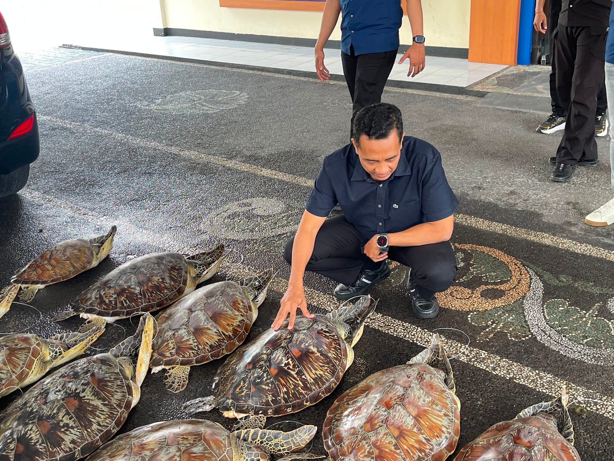 Ditpolairud Polda Bali Gagalkan Penyelundupan 21 Ekor Penyu Hijau Di Buleleng