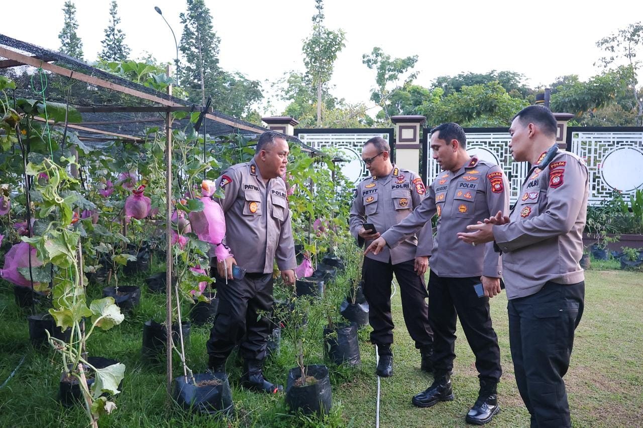 Dukung Ketahanan Pangan Nasional, Polda Kalbar Kembangkan Program Budidaya Melon