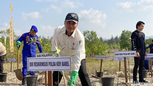 Polda Babel Tanam 6.000 Bibit Pohon di Lahan Bekas Tambang, Wujud Komitmen Pulihkan Lingkungan