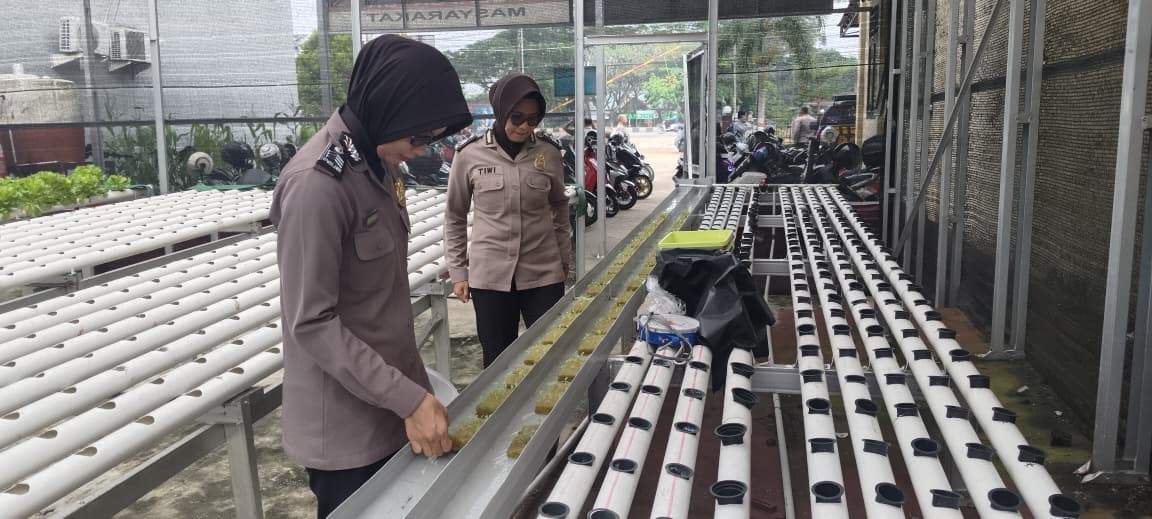 Polwan Polsek Pontianak Timur Rawat Tanaman P2L, Dukung Program Ketahanan Pangan