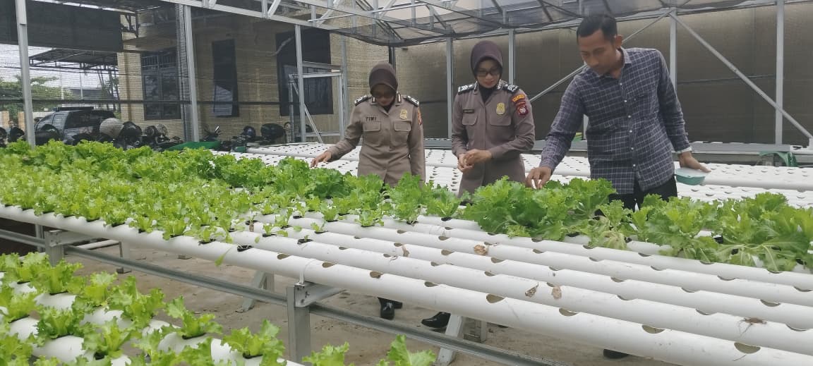 Dukung Program Ketahanan Pangan, Polwan Polsek Pontianak Timur Intensifkan Perawatan Tanaman P2L