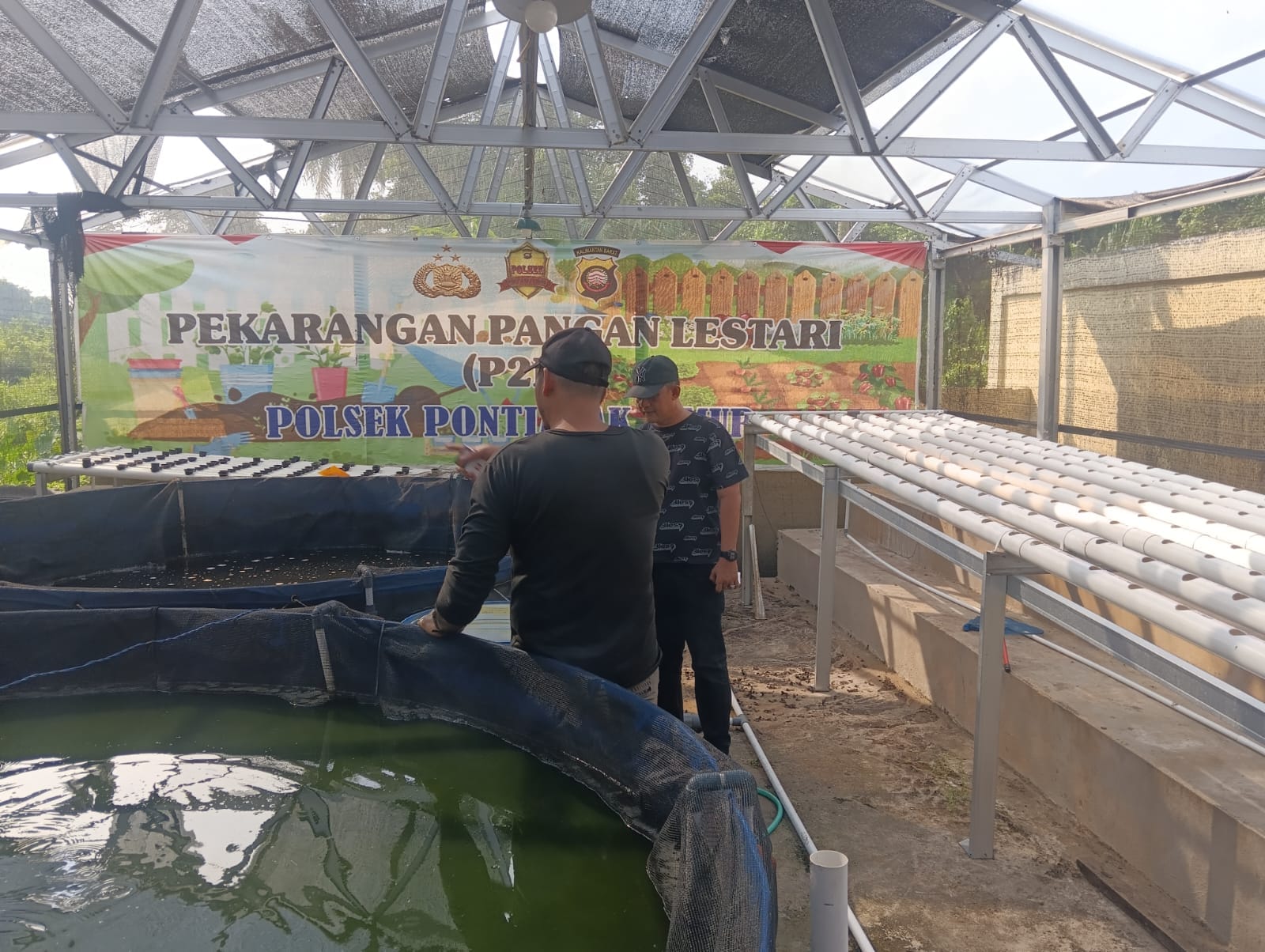 Dukung Ketahanan Pangan, Kapolsek Pontianak Timur Tebar Bibit Ikan Gurame di Kolam Bioflok P2L