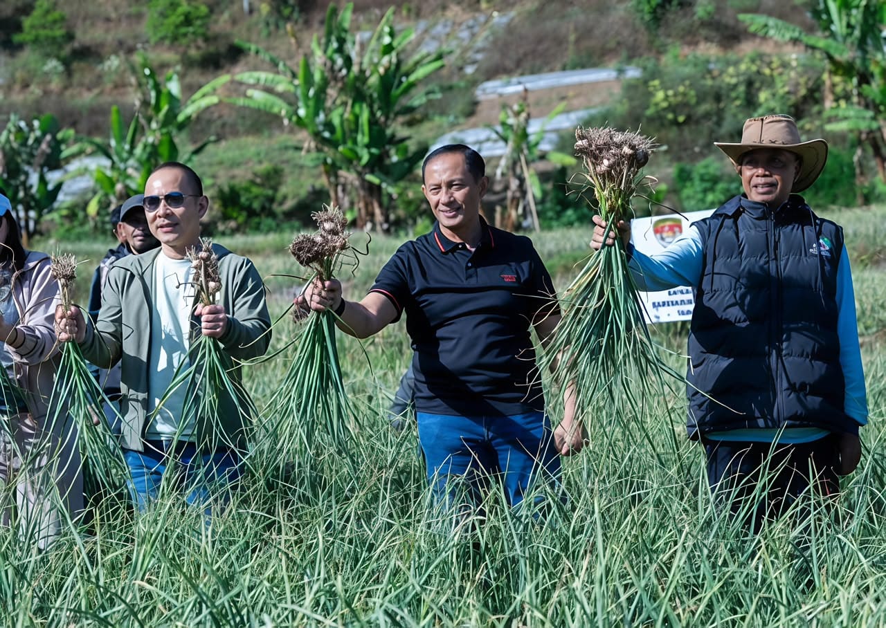 Perkuat Ketahanan Pangan Nasional, Satgas Pangan Polri Kembangkan 534 Hektare Lahan Bawang Putih di Sembalun