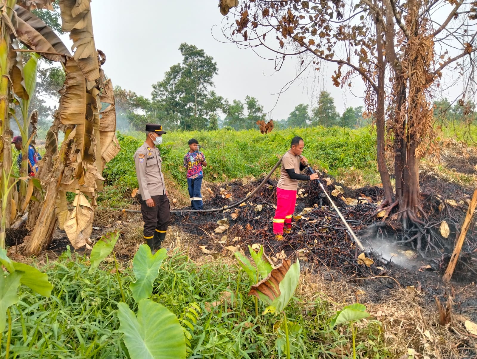 Dua Lokasi Lahan Terbakar, Personel Polsek Pontianak Utara dan Damkar Bergerak Padamkan Api