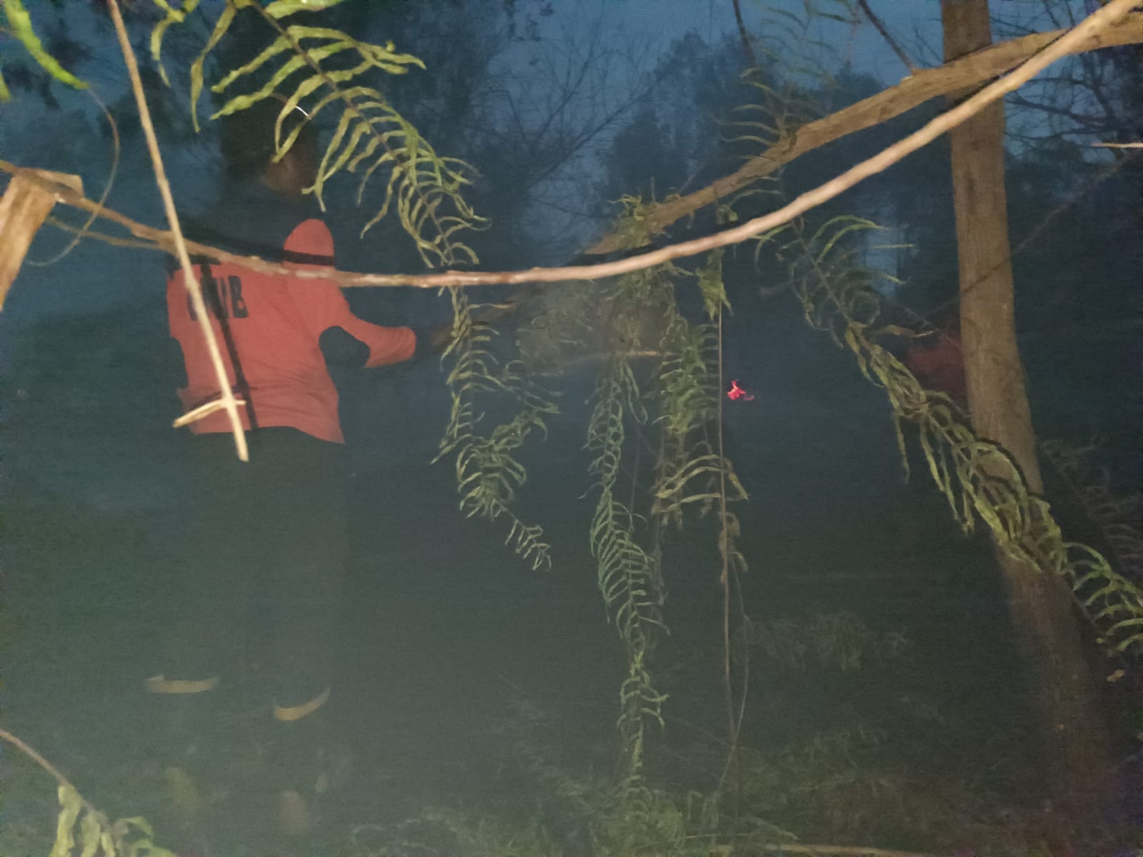Kebakaran Lahan Melanda Pontianak Tenggara, Polresta Pontianak Bersama BPBD dan BNPB Turun Tangan