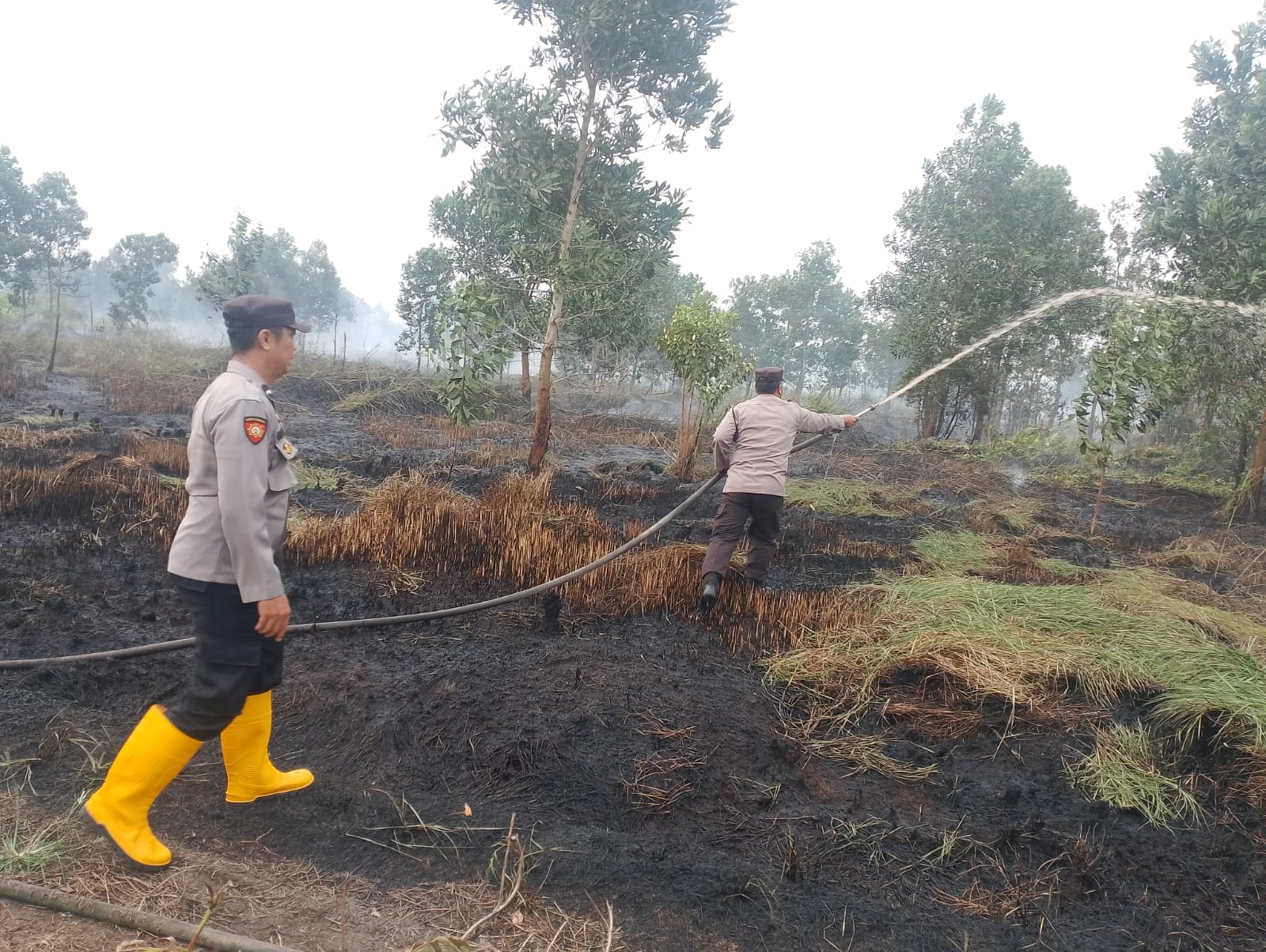 Kebakaran Lahan di Jl. Bentasan 1 Ditangani, Personel Polsek Pontianak Utara Turun Langsung