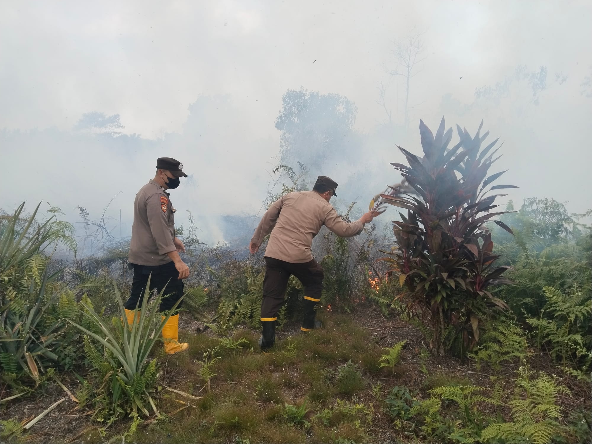 Keterbatasan Sumber Air Tak Halangi Personel Polsek Pontianak Utara Padamkan Kebakaran Lahan
