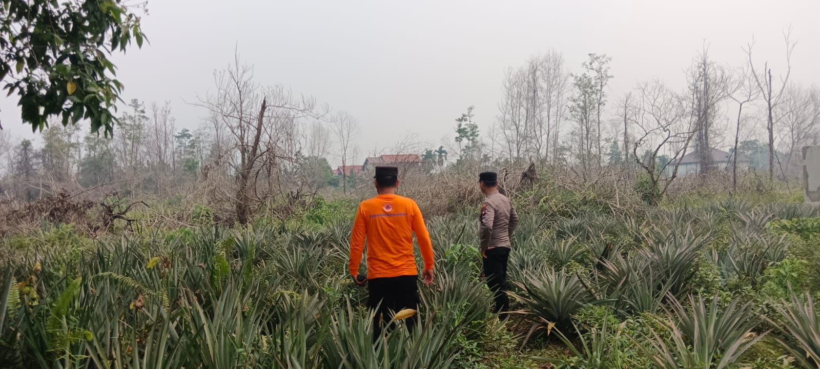 Perkuat Pencegahan Karhutla, Polsek Pontianak Selatan Sampaikan Imbauan kepada Warga Purnama II Ujung