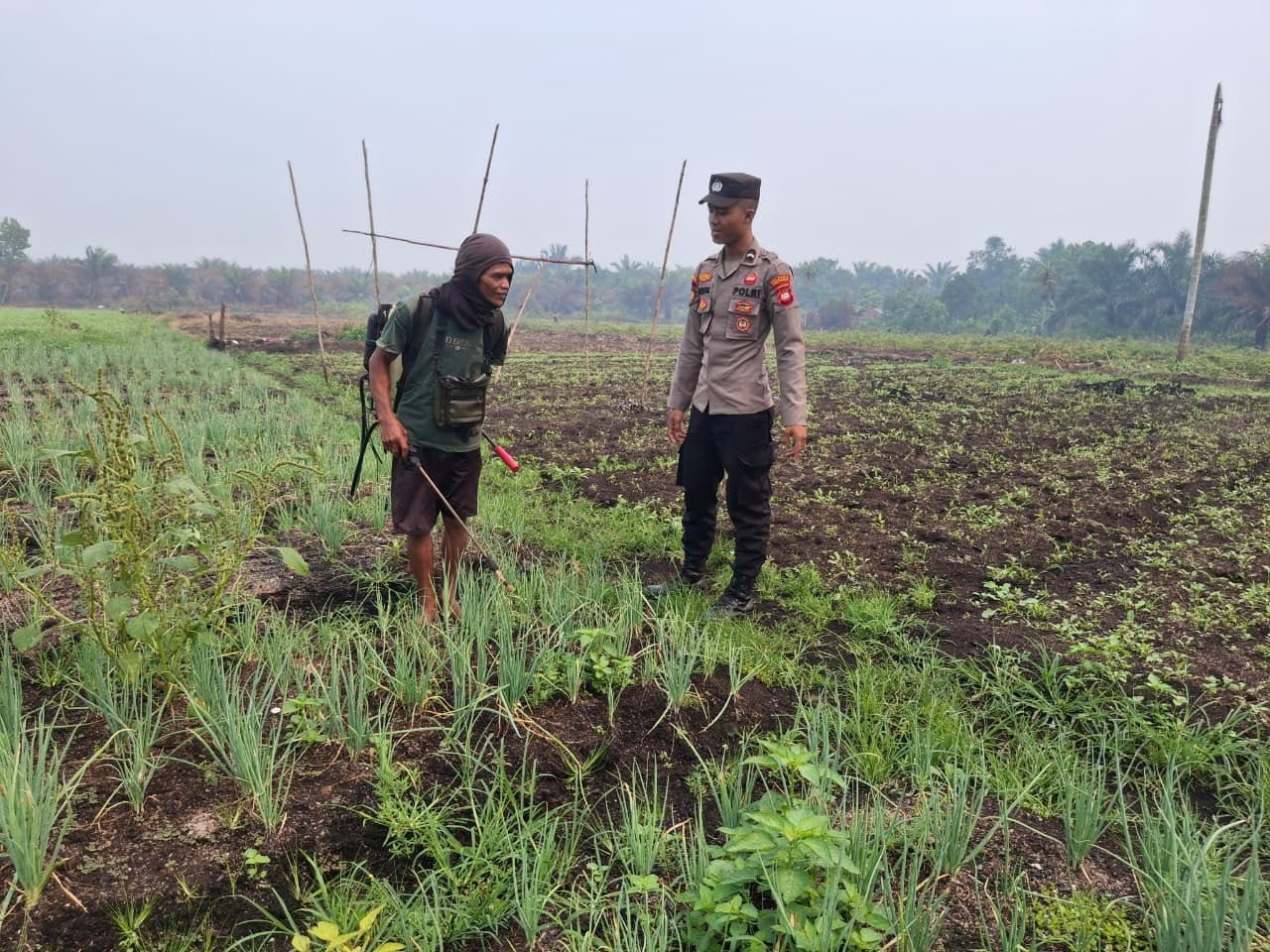 Cegah Karhutla Patroli Enggang Polsek Pontianak Utara Sambangi Petani Sayur Himbau Tak Bakar Semak Belukar