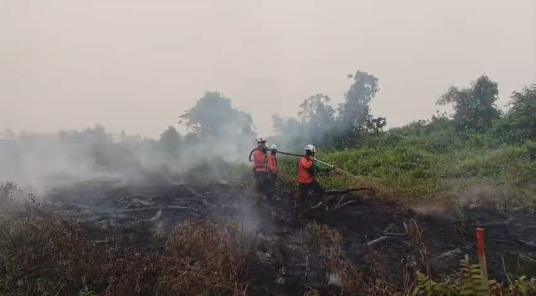 Tim SAR Ditsamapta Polda Kalbar Patroli dan Padamkan Karhutla di Sungai Raya, Cegah Api Merambat ke Permukiman