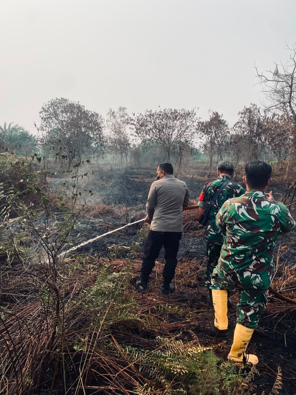 Gerak Cepat Tangani Karhutla, Kapolsek Pontianak Utara Bersama Masyarakat Padamkan Api