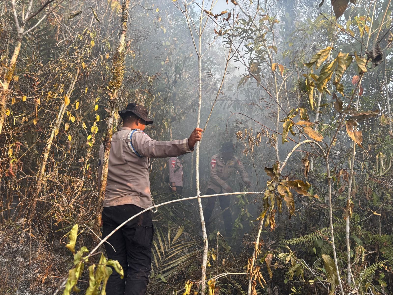 Penanganan Karhutla Hari Keenam, Brimob Kembali Turun di Biak