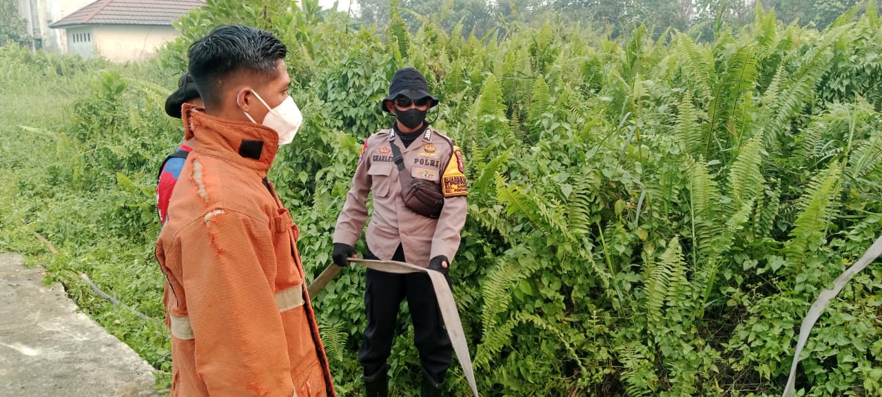 Bhabinkamtibmas Bersama Damkar Borneo Bergerak Cepat Padamkan Karhutla