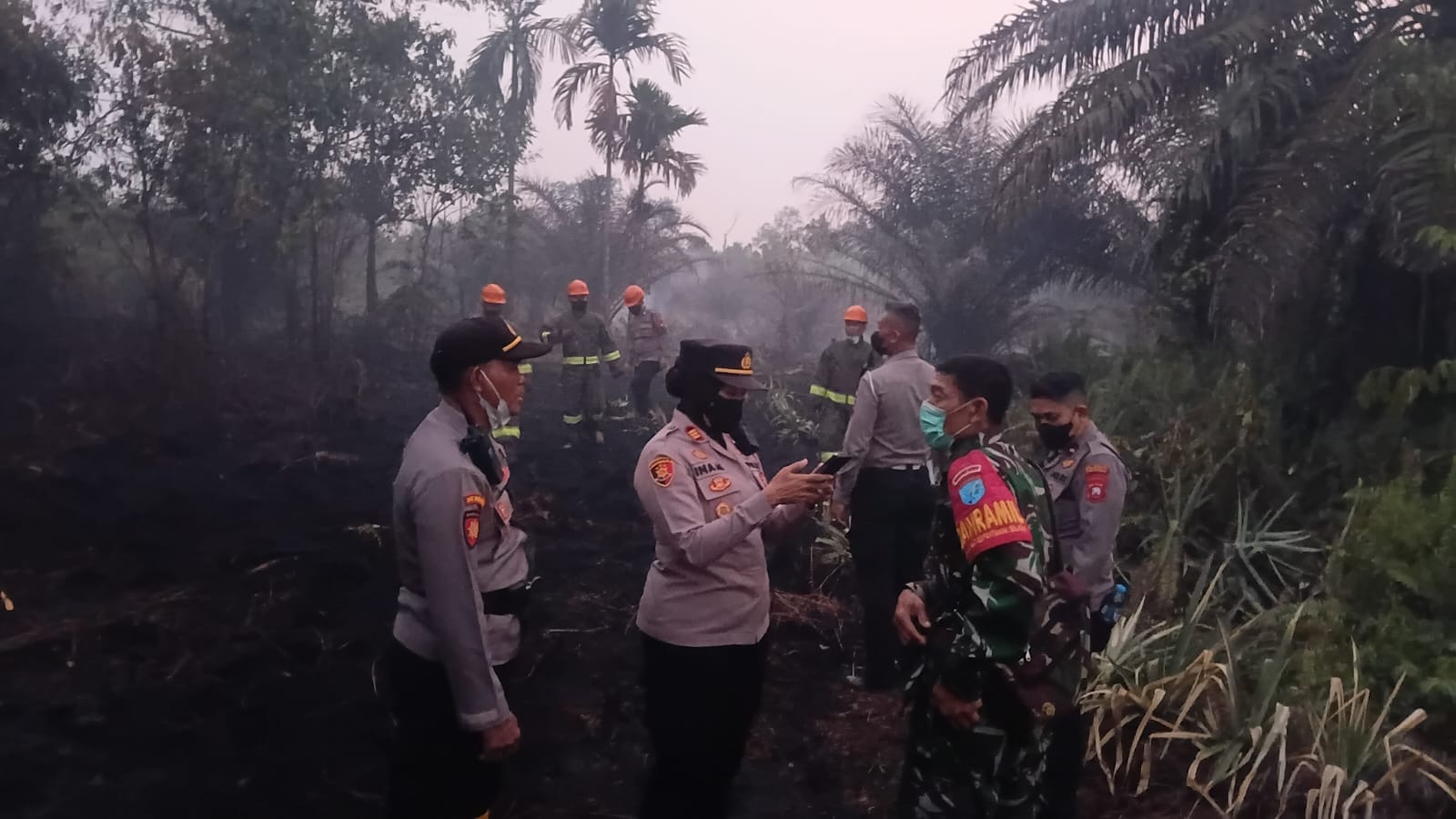 Sinergitas TNI-Polri Bersama Damkar, Tanggulangi Karhutla di Parit Demang Dalam.