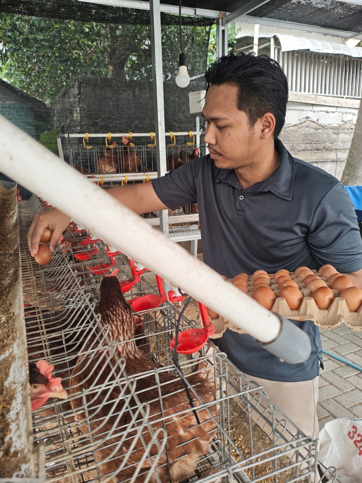 Kapolresta Pontianak Ajak Personel Sulap Pekarangan Jadi Sumber Pangan Keluarga