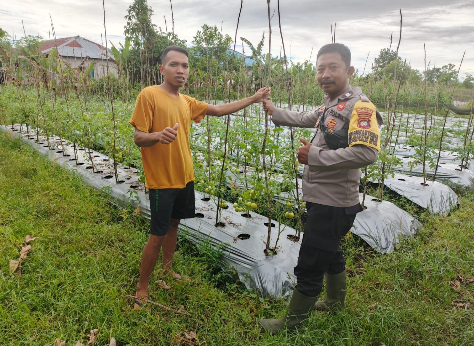 Bhabinkamtibmas Siantan Hilir Semangati Petani Tak Putus Asa Dimusim Kemarau Panjang