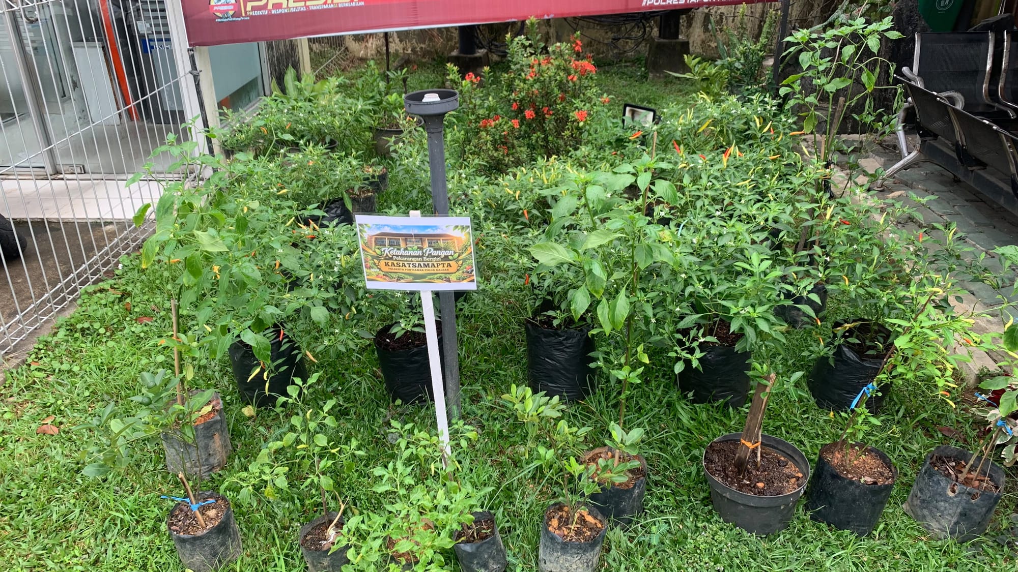 Lahan Mako Jadi Kebun Pangan, Polresta Pontianak Dukung Program P2B