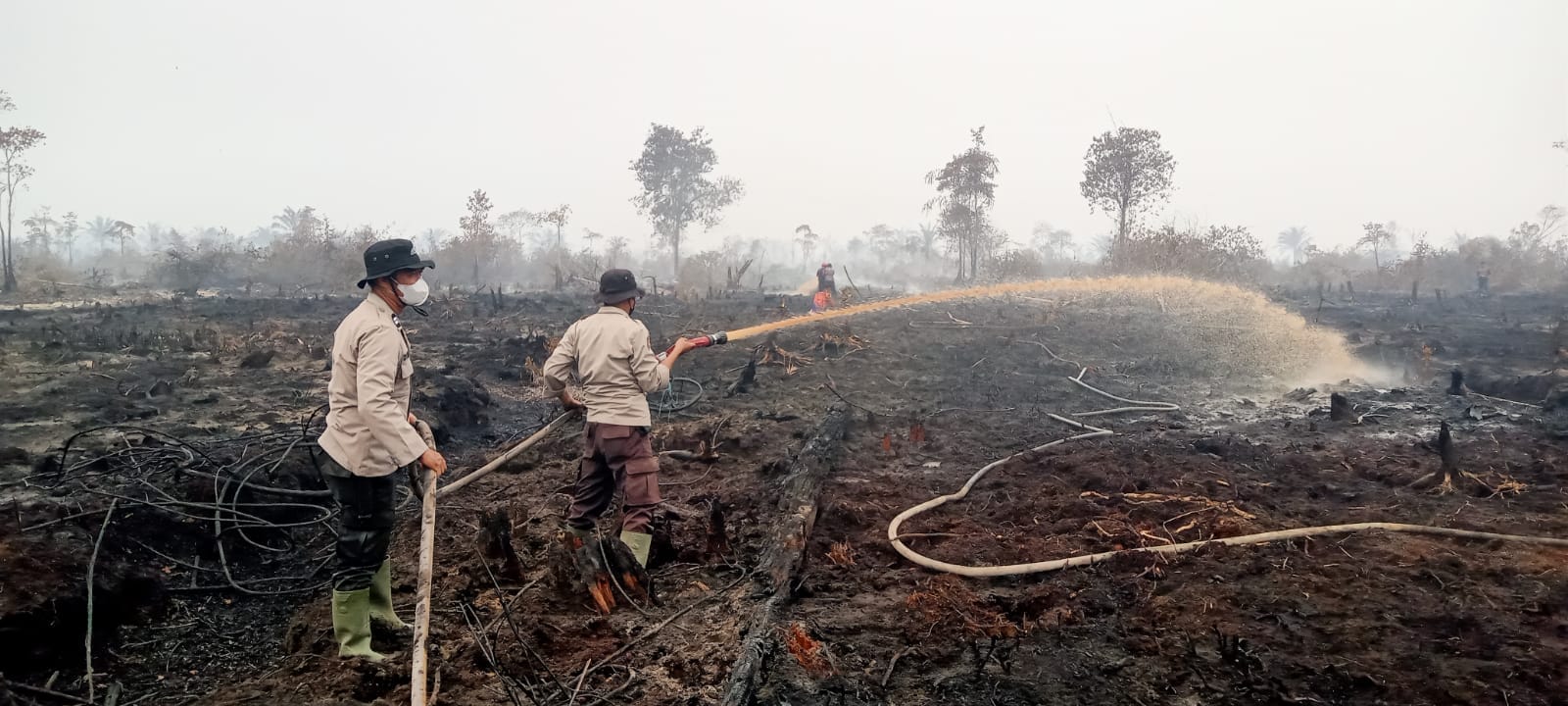 Pasca Pemadaman, Tim Gabungan TNI-Polri dan Warga Fokus Pendinginan Lahan Gambut Rantau Panjang