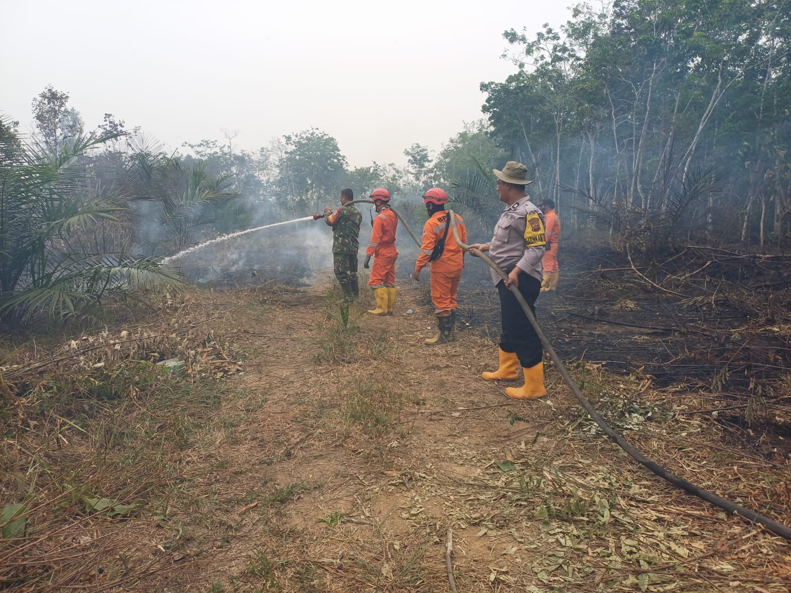 Deteksi Titik Panas, Polsek Muara Bulian dan Satgas Karhutla Cek Langsung Hotspot di Tahura