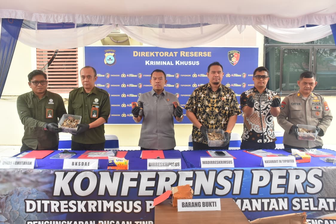Ungkap Penyelundupan Satwa Dilindungi, Polda Kalsel Amankan 57,8 Kg Sisik Trenggiling dan Paruh Rangkong