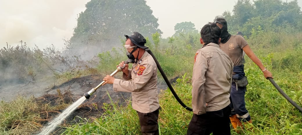 Karhutla di Kumpeh Ulu Capai 10 Hektare, Tim Gabungan Bergerak Lakukan Pemadaman