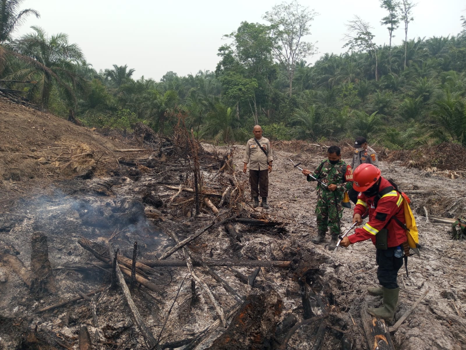 Karhutla di Desa Pelayangan Batanghari Berhasil Dipadamkan, Luas Lahan Terbakar ±0,8 Hektare